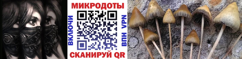 кракен ссылки Северодвинск площадка наркотические препараты Галлюциногенные грибы Psilocybe